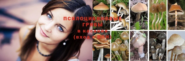 гашишное масло Бугульма