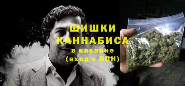 таблы Бородино