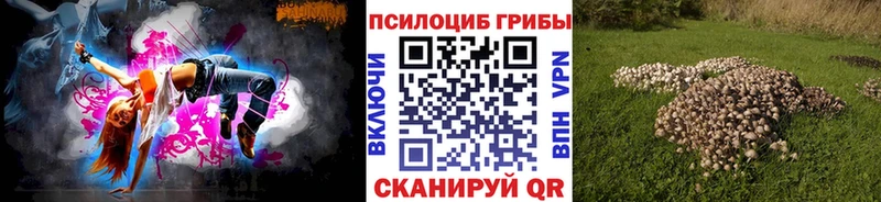 Галлюциногенные грибы Psilocybe  mega сайт  Мончегорск 